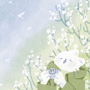 наклейка уточки